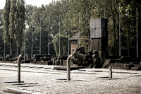Auschwitz I & II