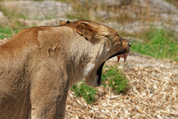 20120720_EOS7D_69608_DxO8